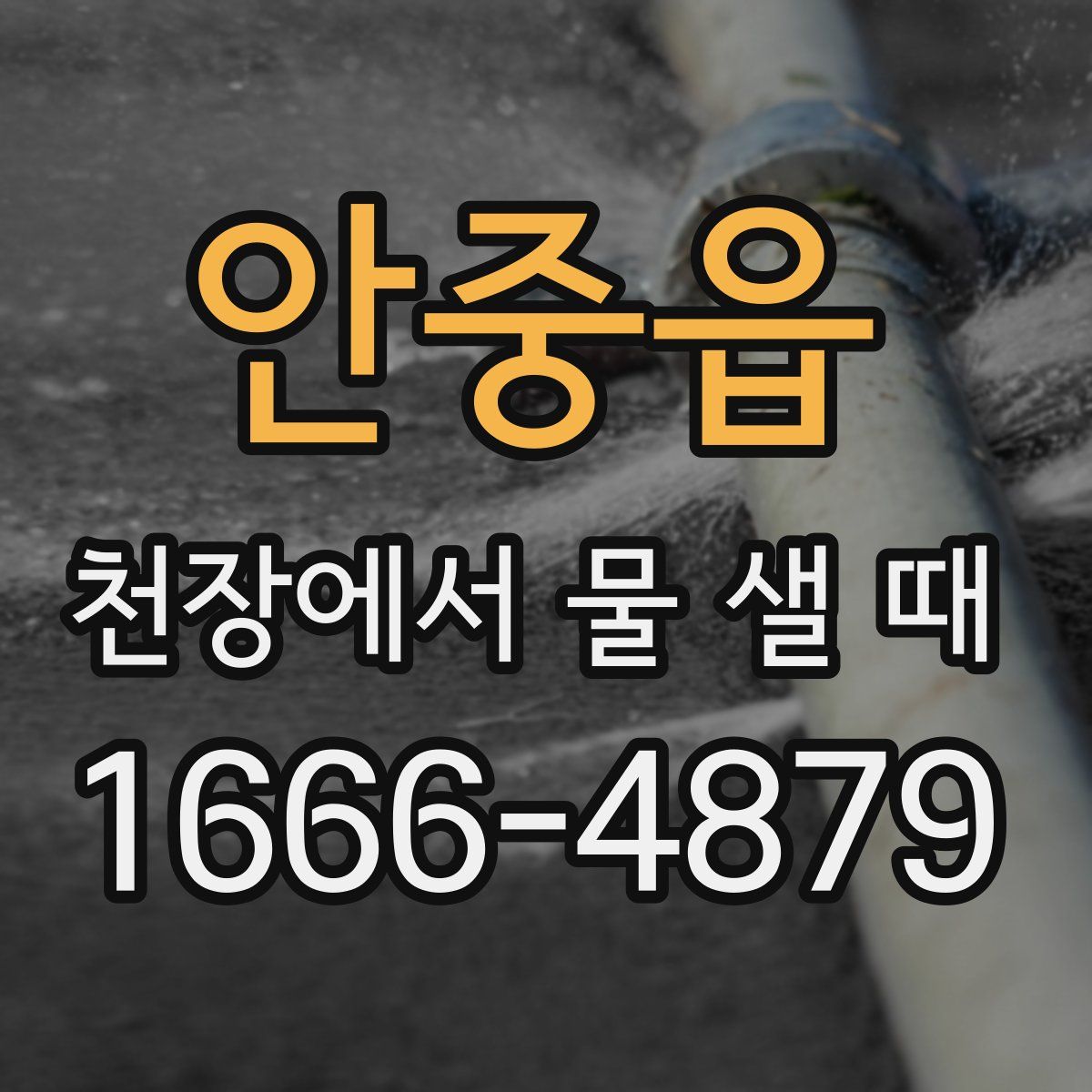 안중읍 천장에서 물 샐 때