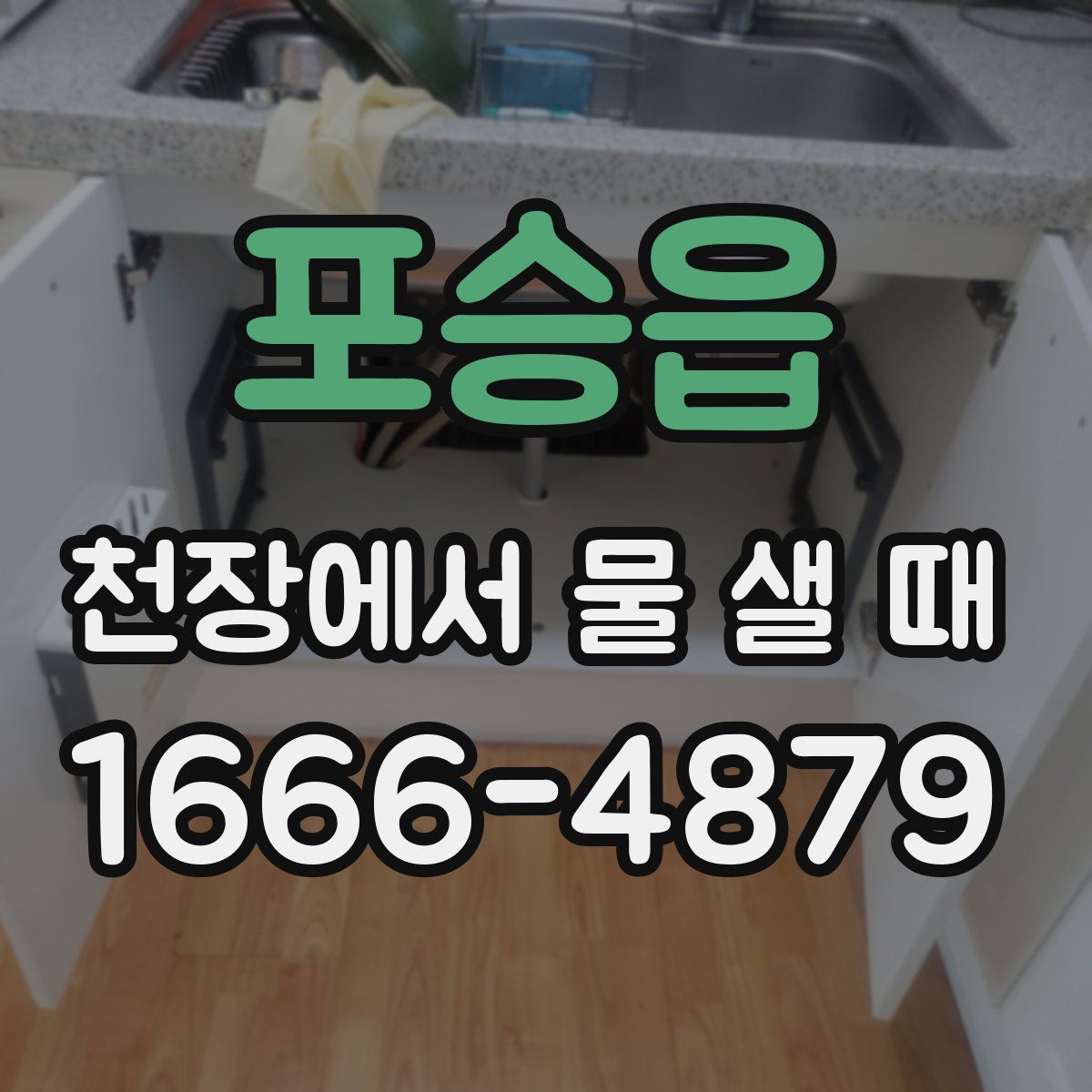 포승읍 천장에서 물 샐 때