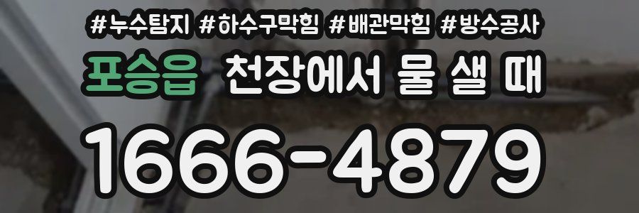 포승읍 천장에서 물 샐 때