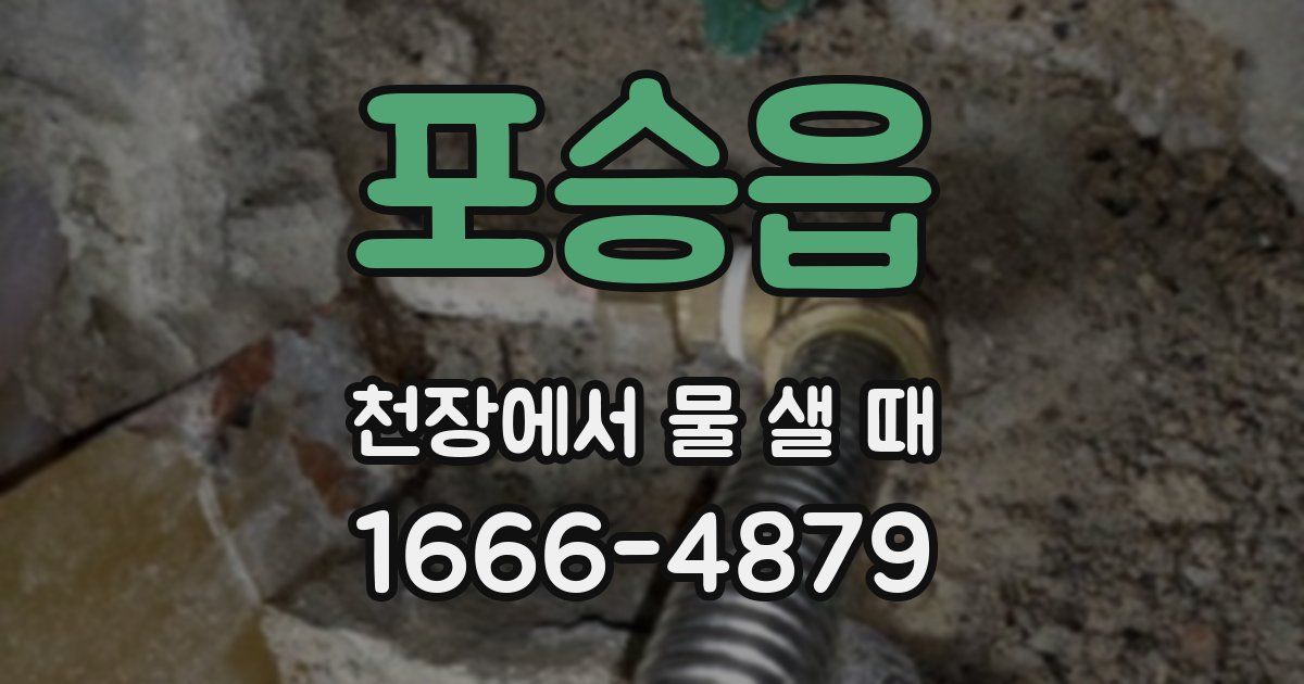 포승읍 천장에서 물 샐 때