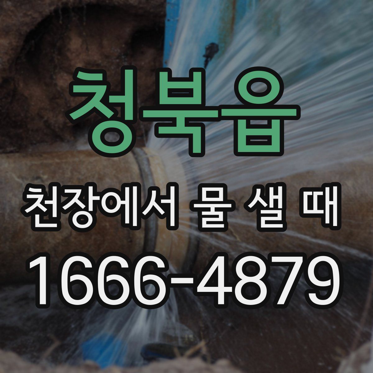 청북읍 천장에서 물 샐 때