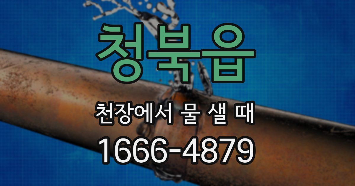 청북읍 천장에서 물 샐 때