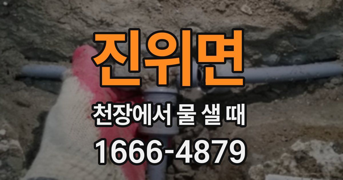 진위면 천장에서 물 샐 때