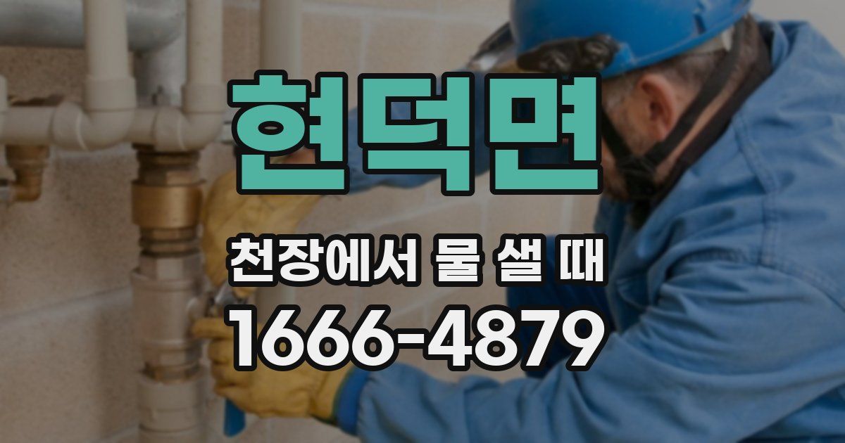 현덕면 천장에서 물 샐 때