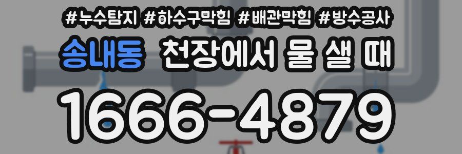 송내동 천장에서 물 샐 때