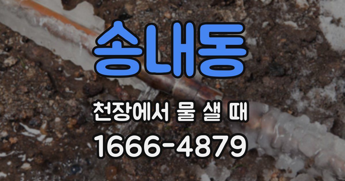 송내동 천장에서 물 샐 때