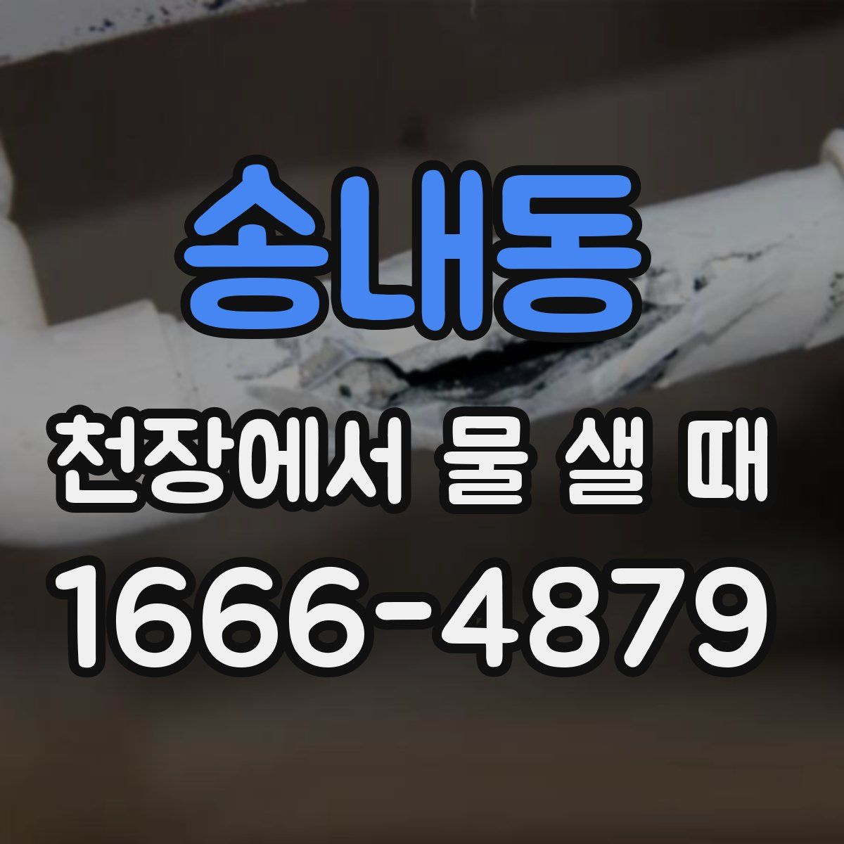 송내동 천장에서 물 샐 때