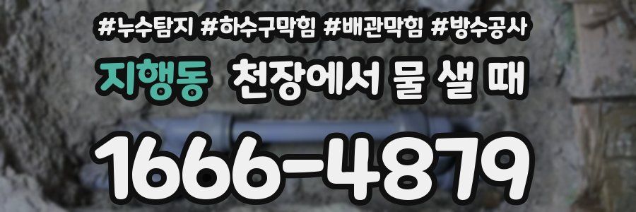 지행동 천장에서 물 샐 때