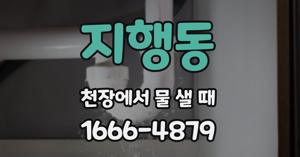 지행동 천장에서 물 샐 때