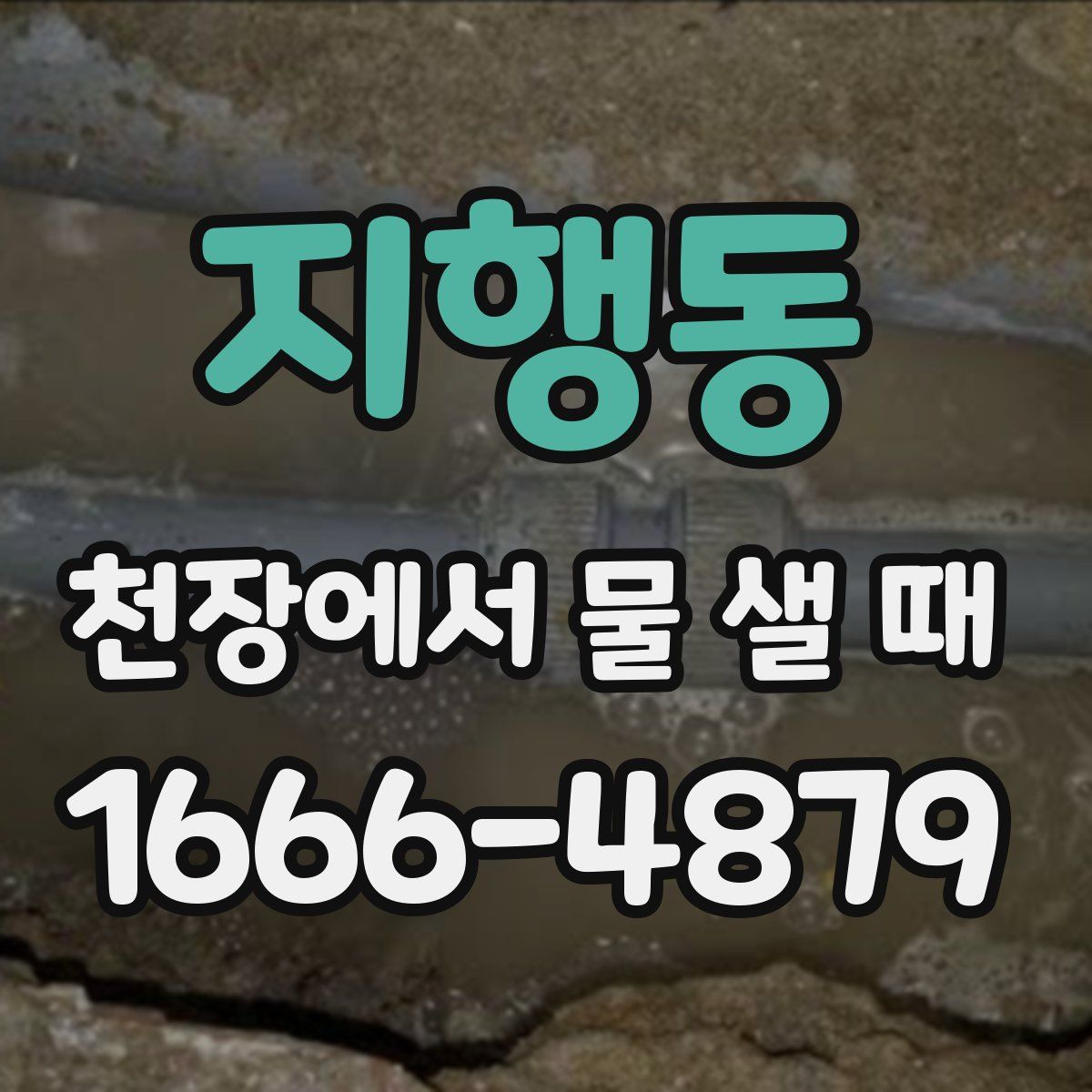 지행동 천장에서 물 샐 때