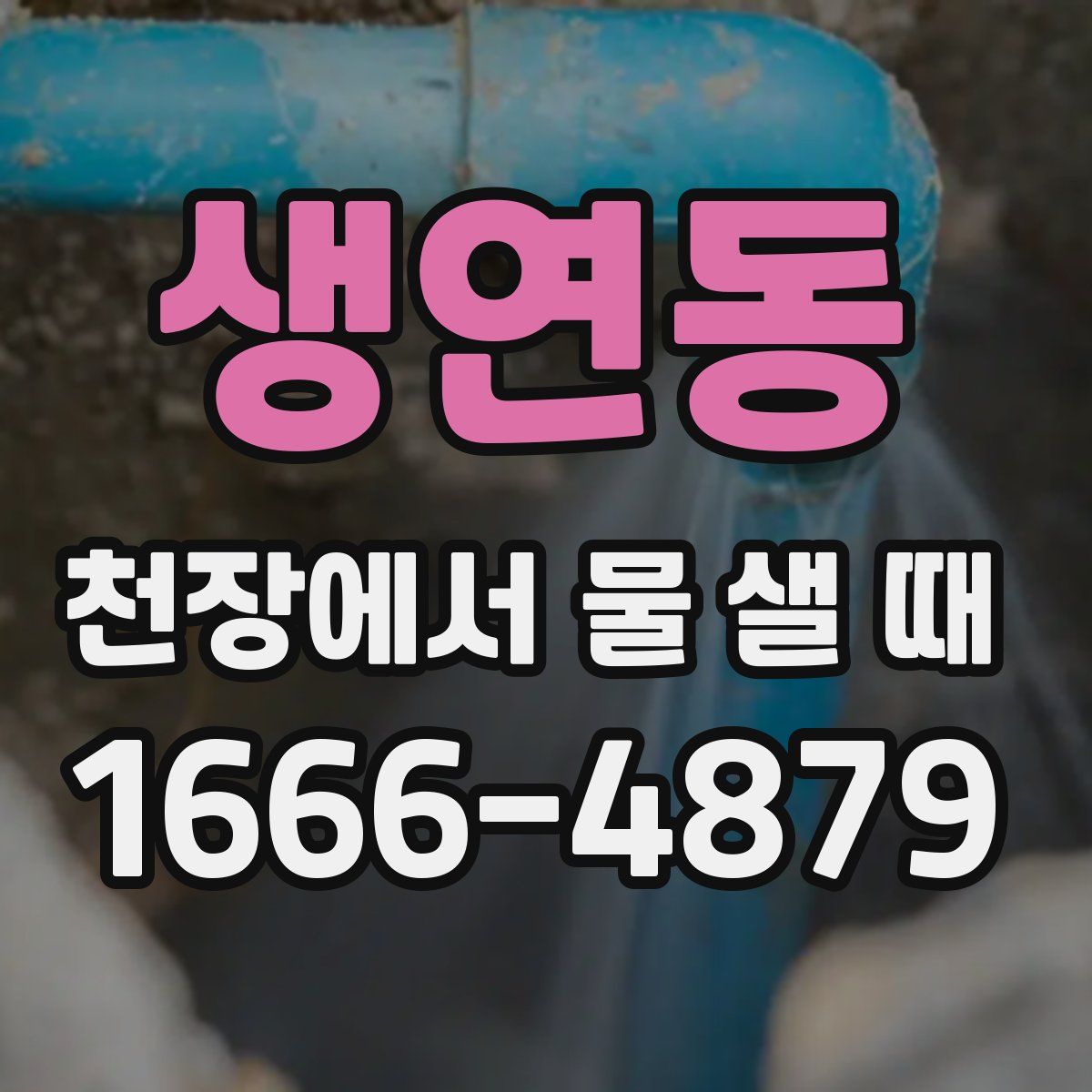 생연동 천장에서 물 샐 때