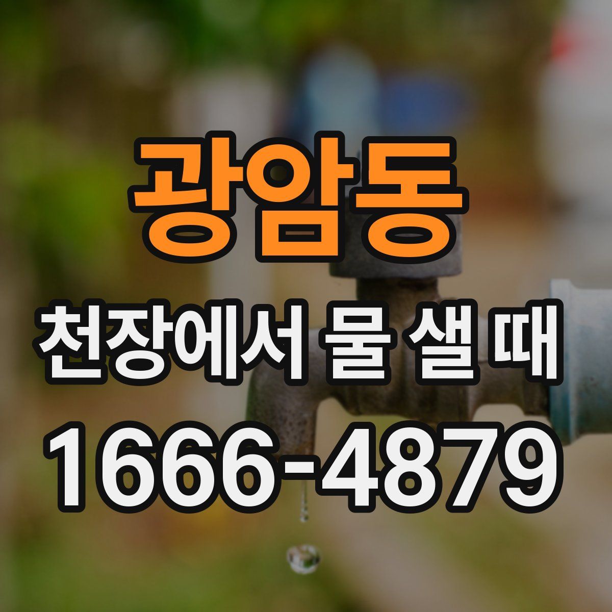 광암동 천장에서 물 샐 때
