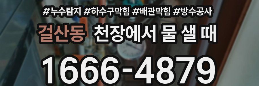 걸산동 천장에서 물 샐 때