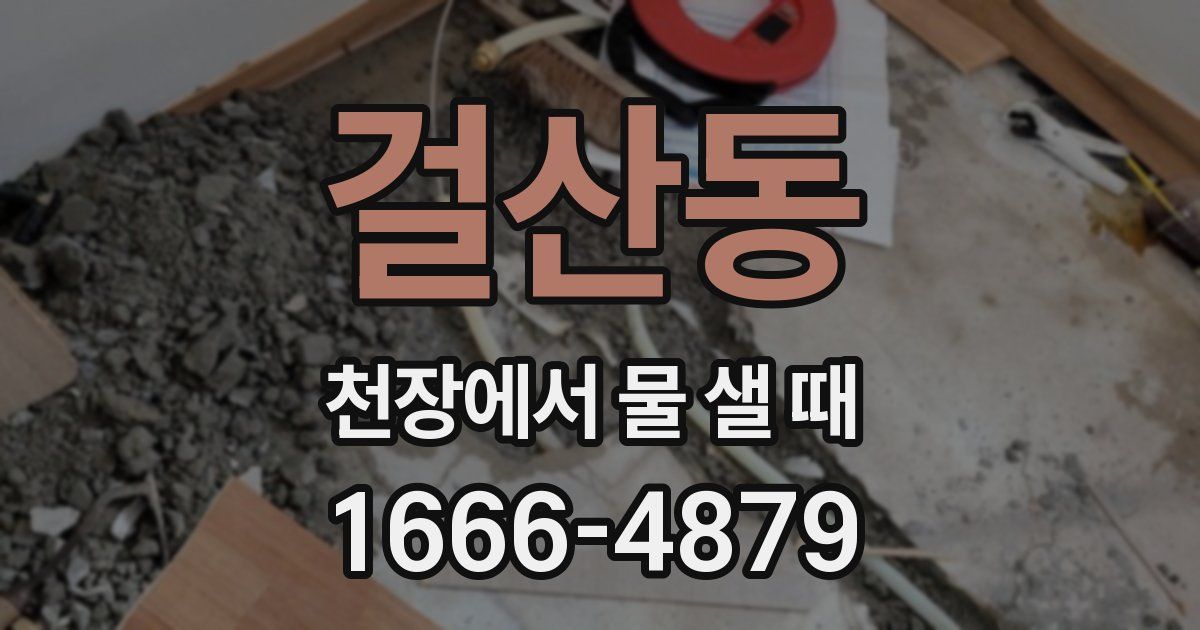 걸산동 천장에서 물 샐 때