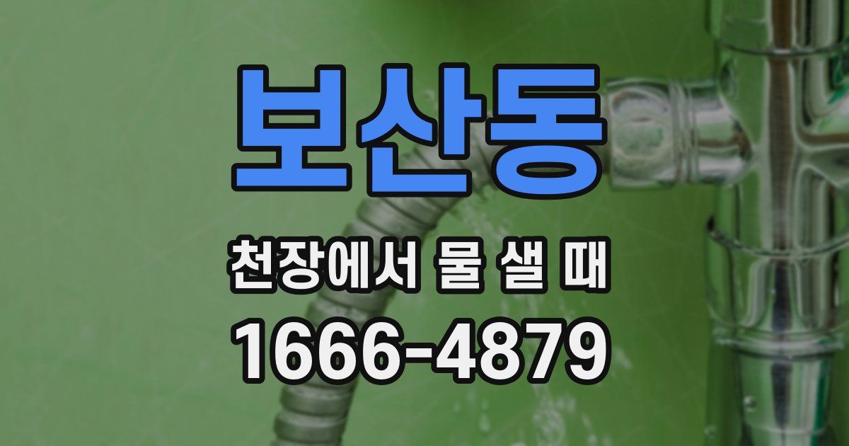 보산동 천장에서 물 샐 때