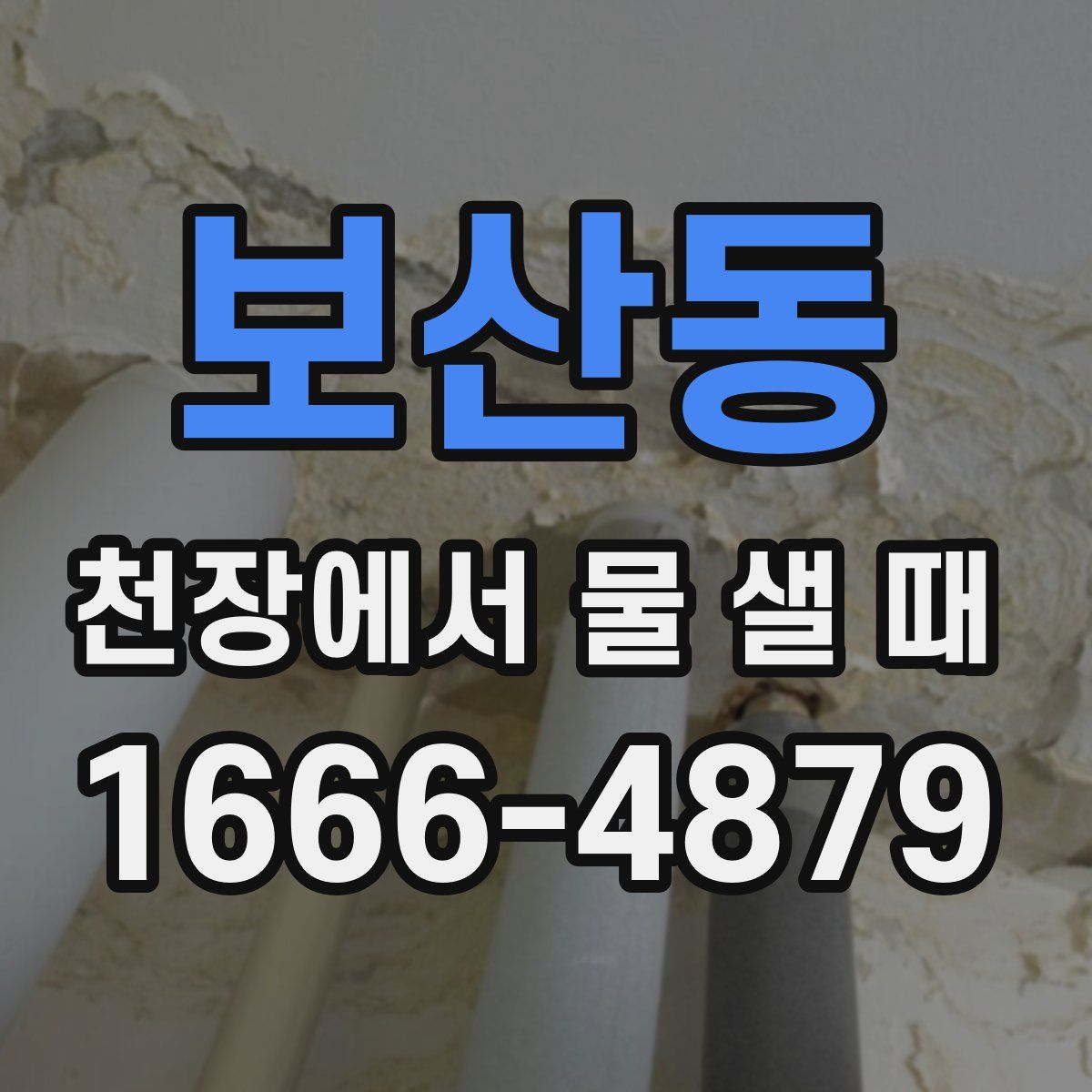 보산동 천장에서 물 샐 때