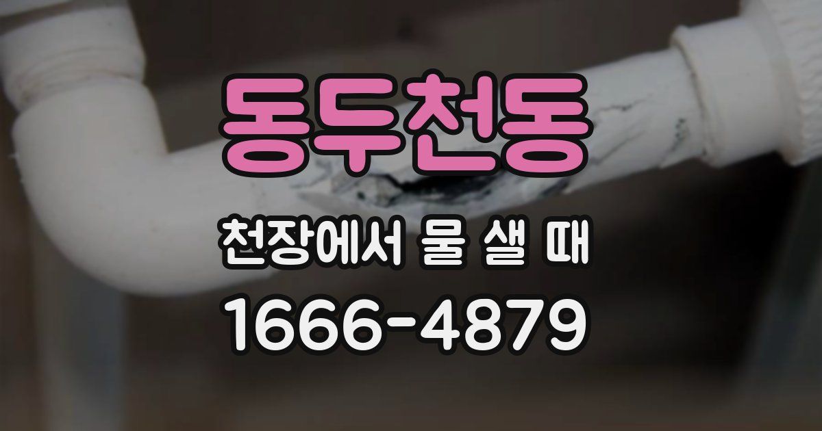 동두천동 천장에서 물 샐 때