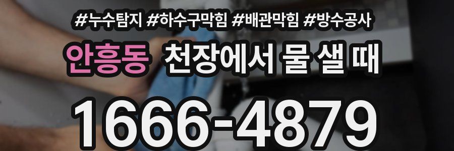 안흥동 천장에서 물 샐 때
