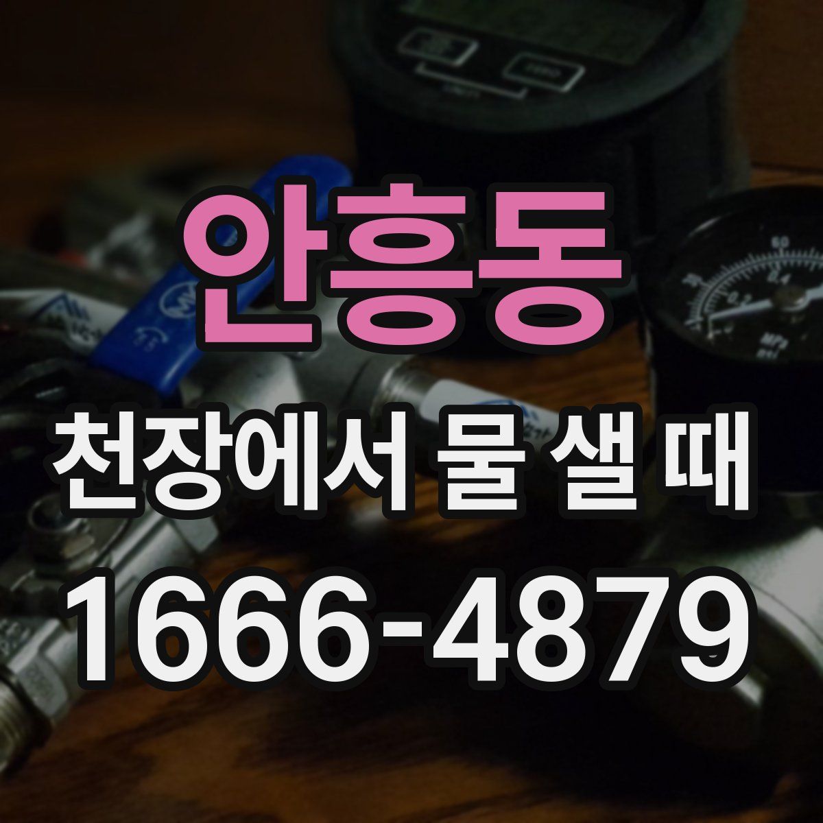 안흥동 천장에서 물 샐 때