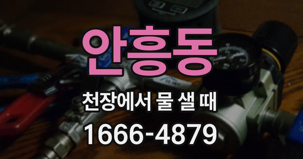 안흥동 천장에서 물 샐 때