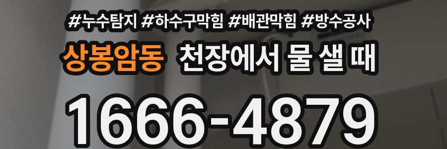 상봉암동 천장에서 물 샐 때