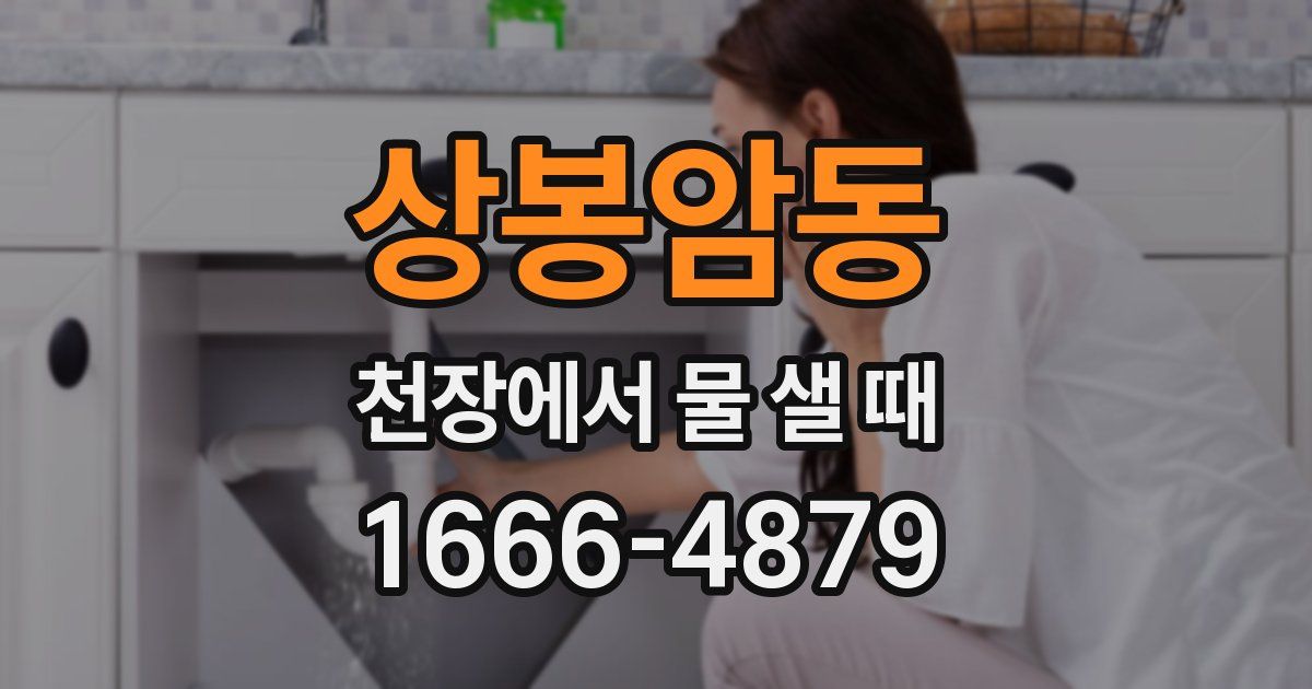 상봉암동 천장에서 물 샐 때