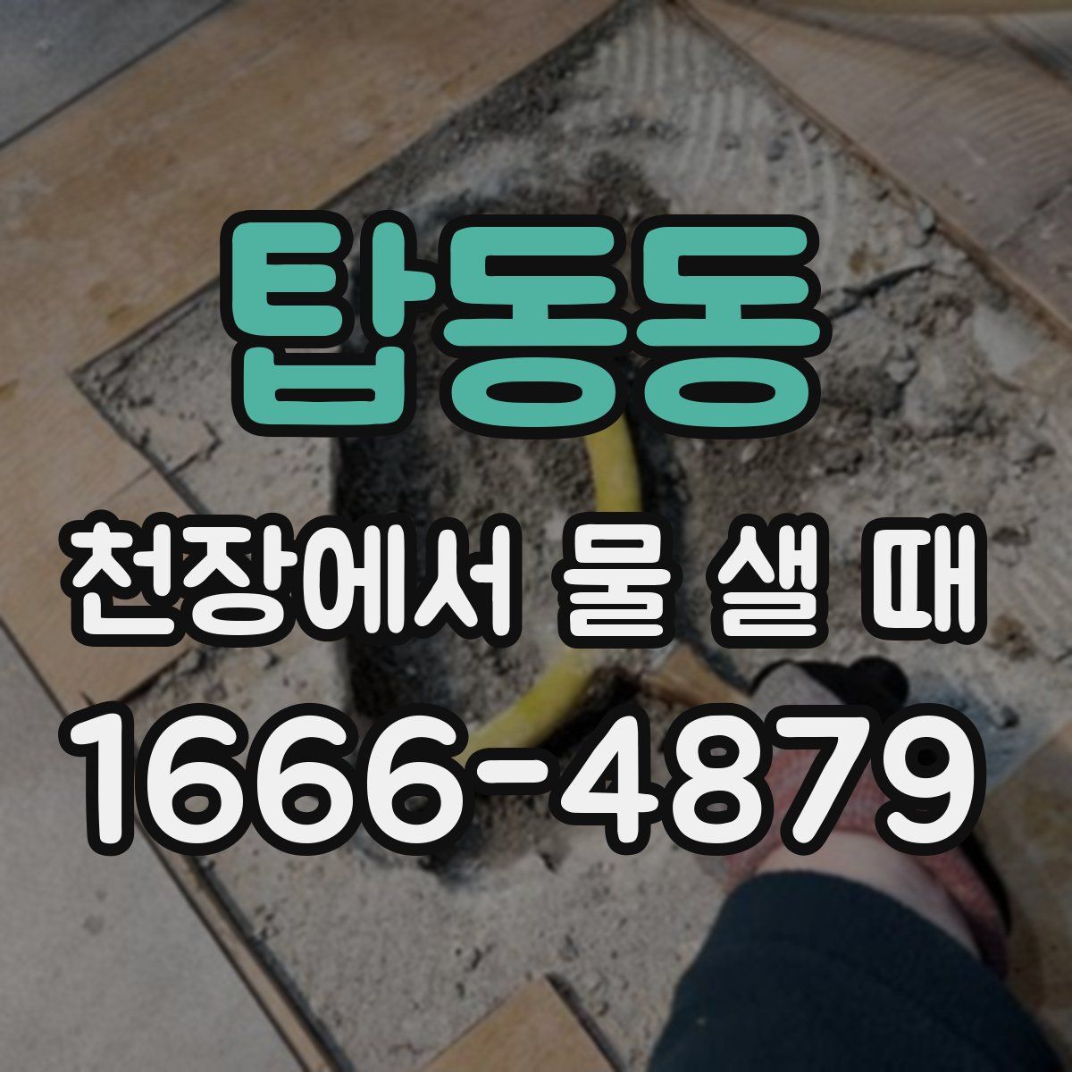 탑동동 천장에서 물 샐 때