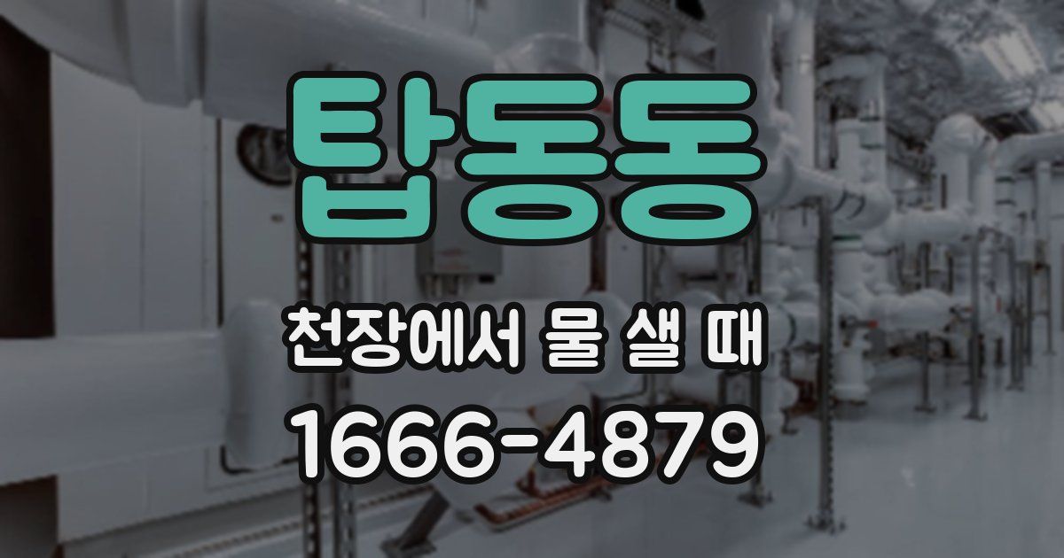 탑동동 천장에서 물 샐 때