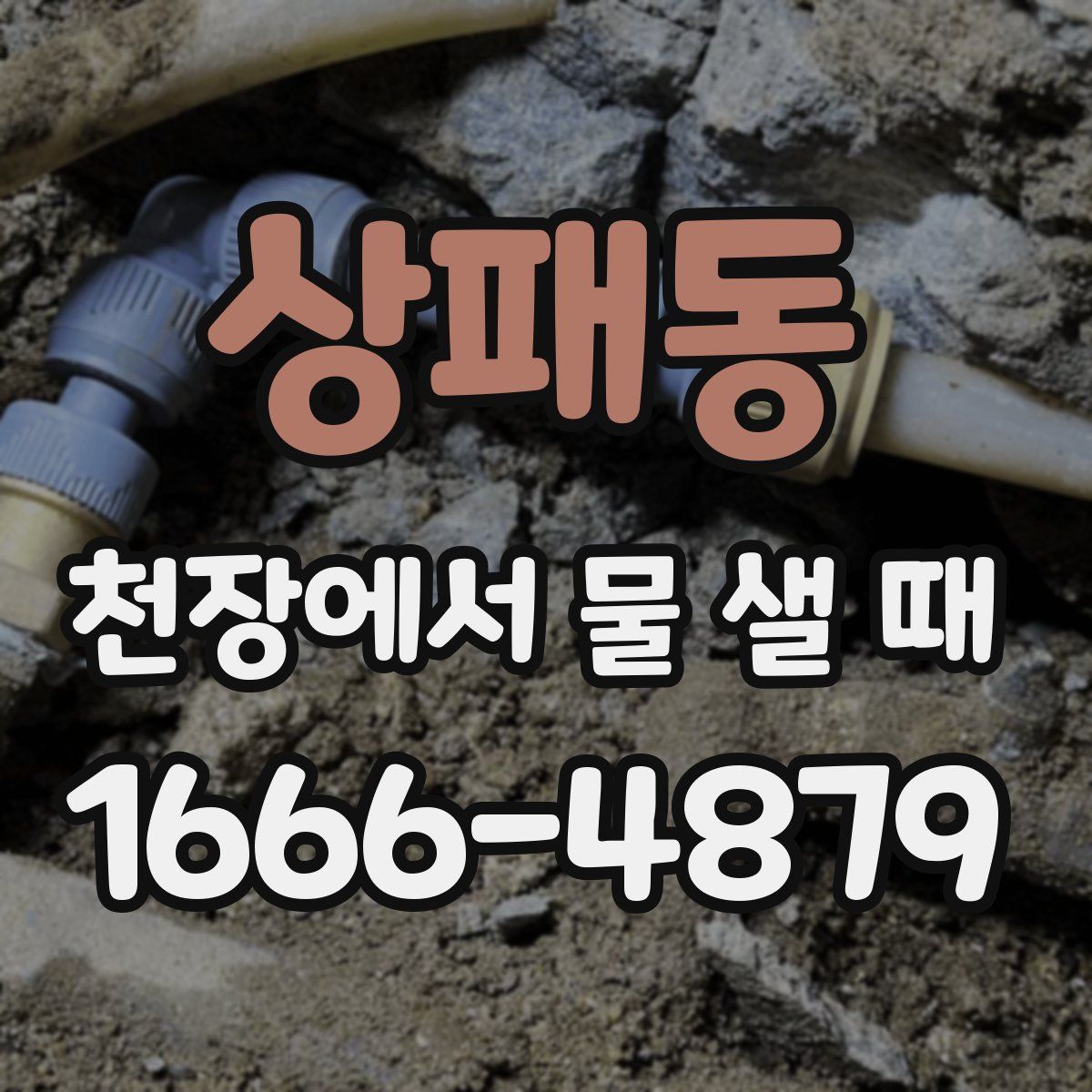 상패동 천장에서 물 샐 때