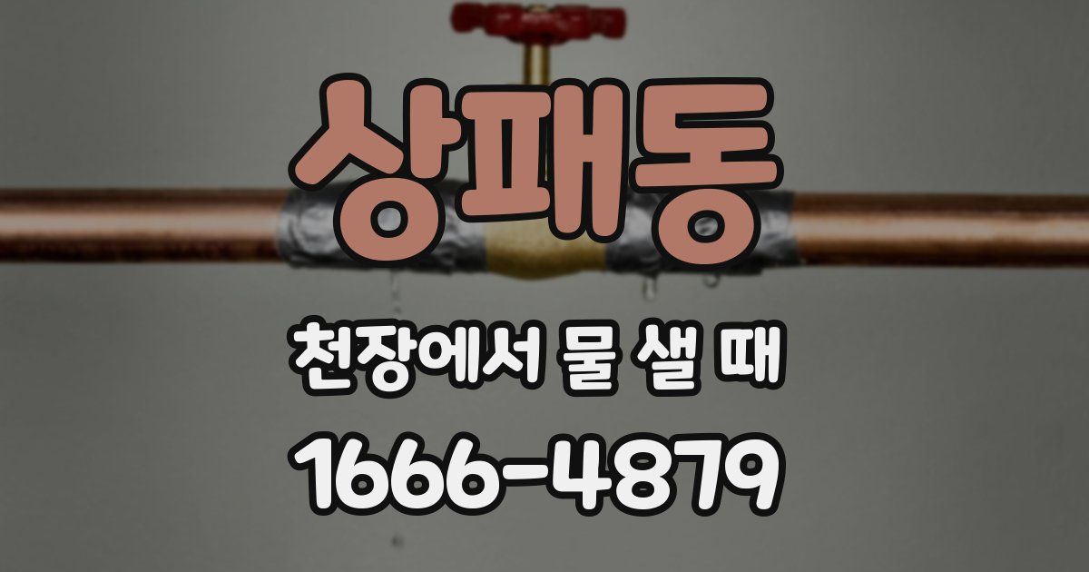 상패동 천장에서 물 샐 때