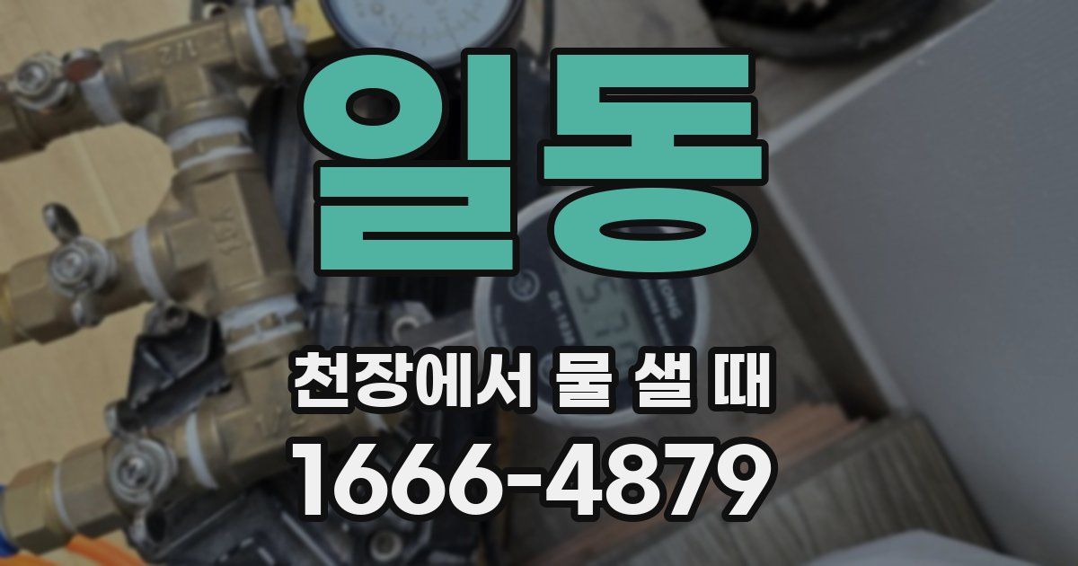 일동 천장에서 물 샐 때