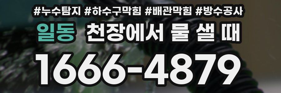 일동 천장에서 물 샐 때