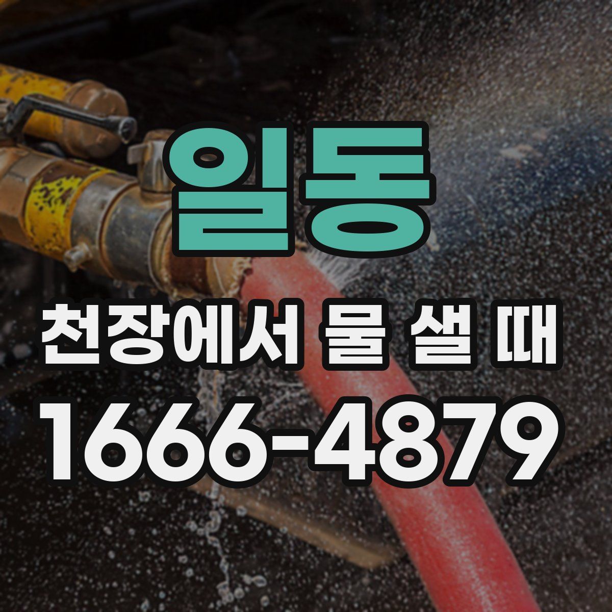 일동 천장에서 물 샐 때