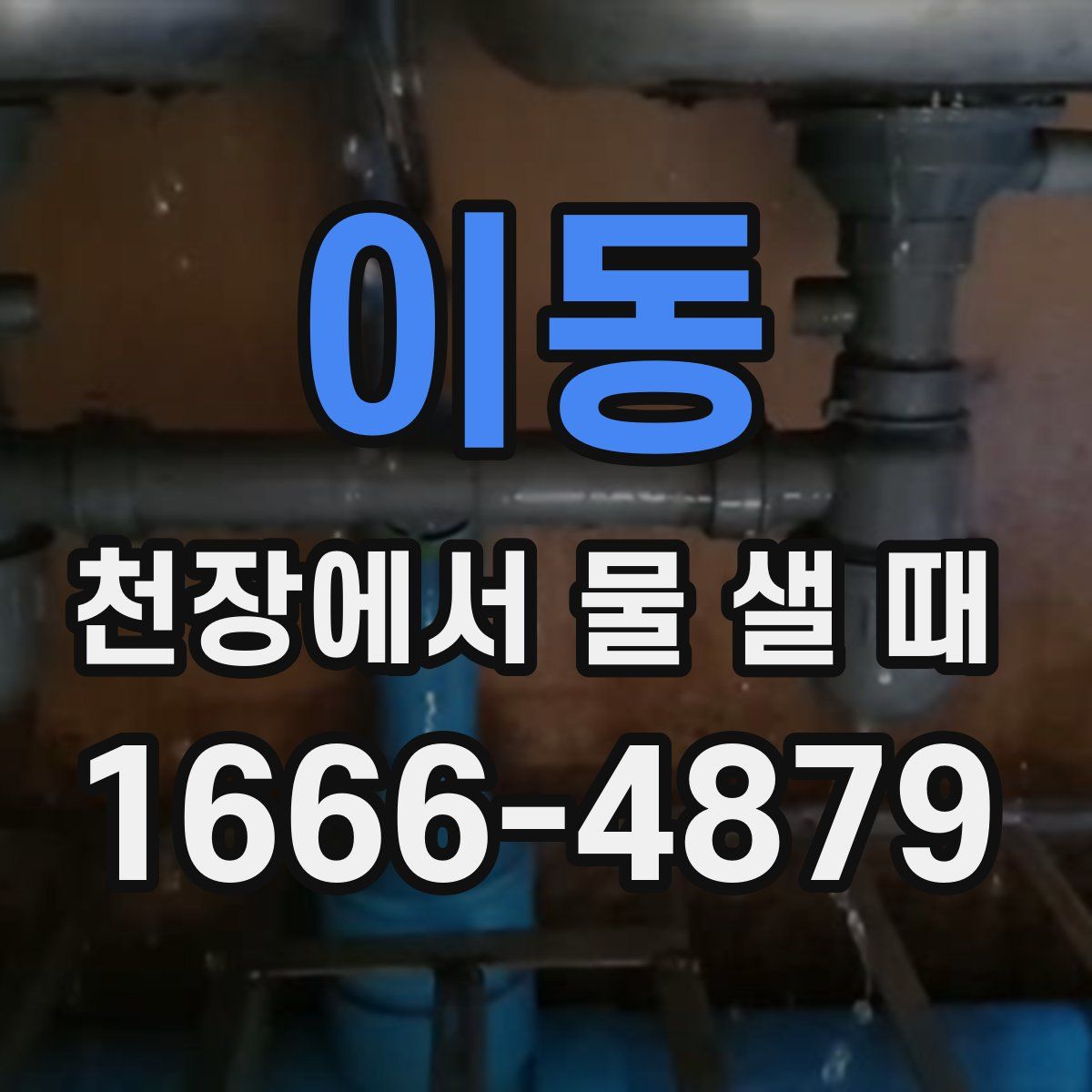 이동 천장에서 물 샐 때