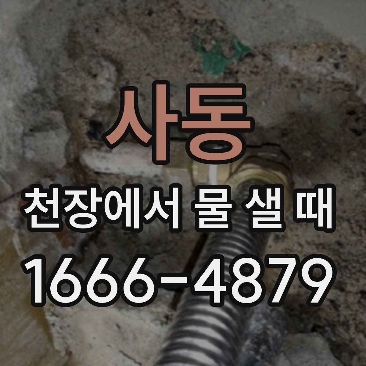 사동 천장에서 물 샐 때