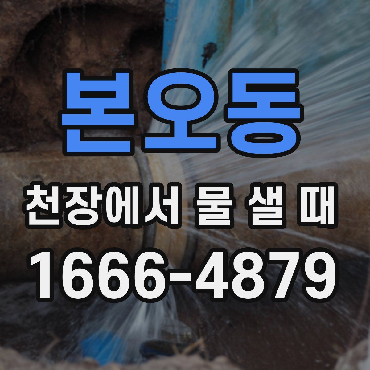 본오동 천장에서 물 샐 때