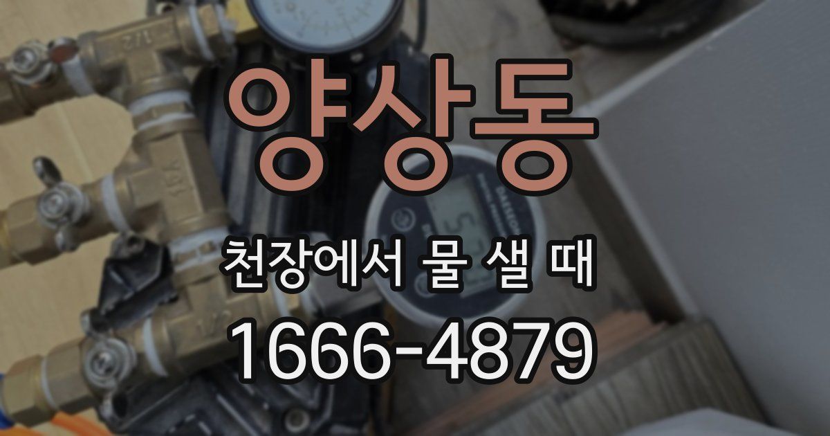 양상동 천장에서 물 샐 때