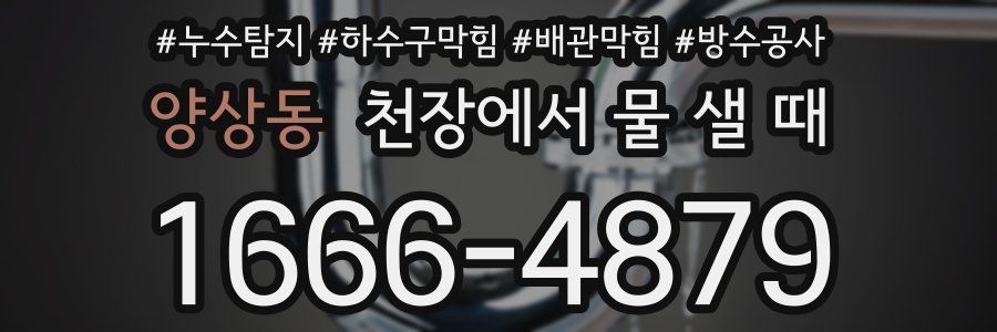 양상동 천장에서 물 샐 때