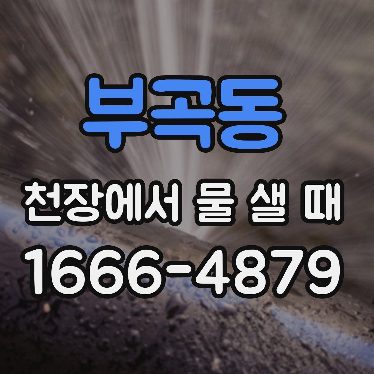 부곡동 천장에서 물 샐 때