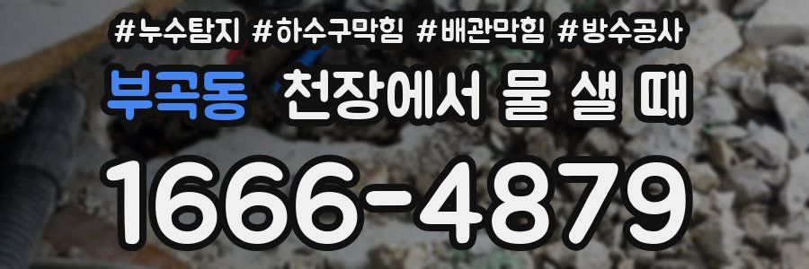 부곡동 천장에서 물 샐 때