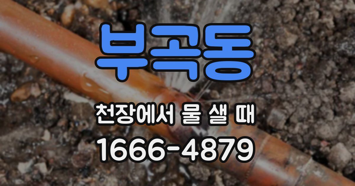 부곡동 천장에서 물 샐 때