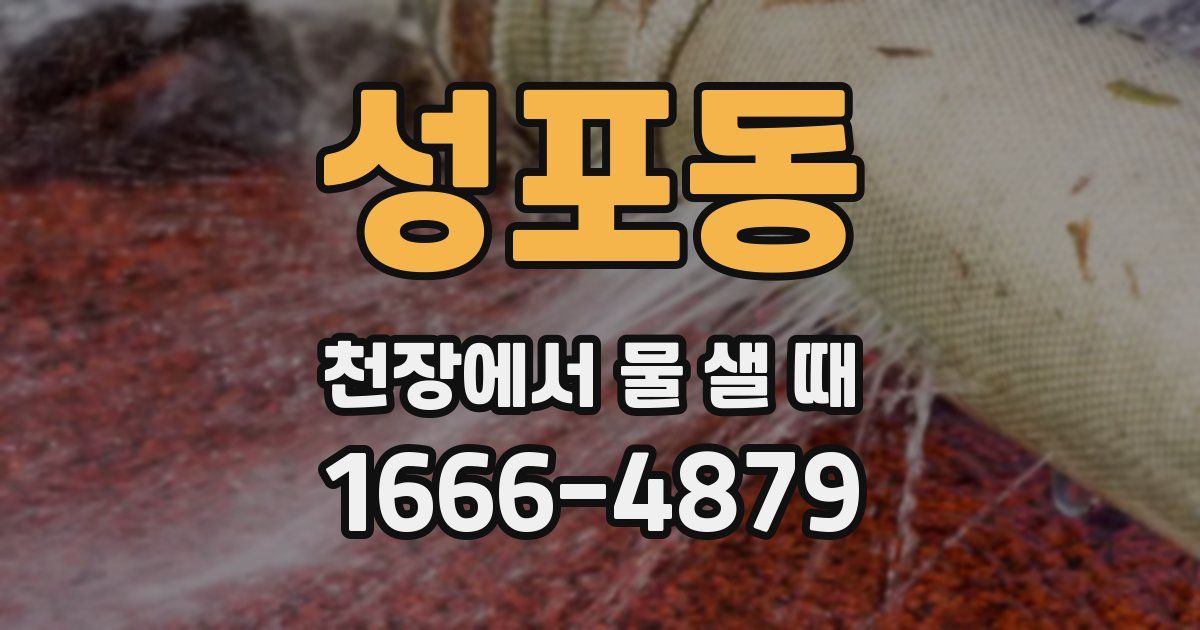 성포동 천장에서 물 샐 때