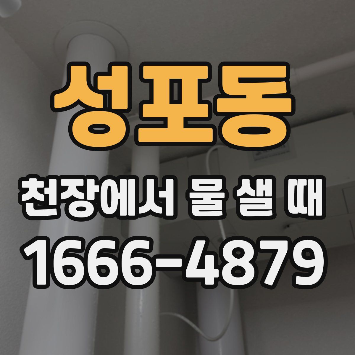 성포동 천장에서 물 샐 때