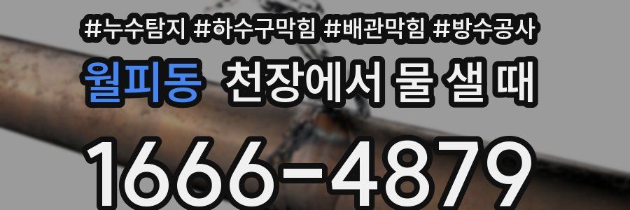 월피동 천장에서 물 샐 때