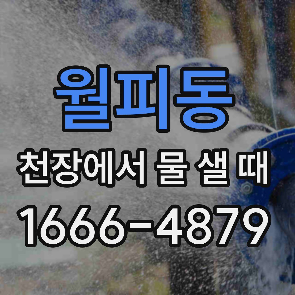 월피동 천장에서 물 샐 때