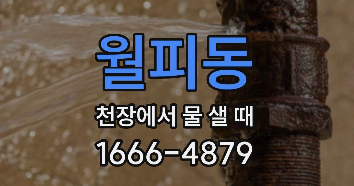 월피동 천장에서 물 샐 때
