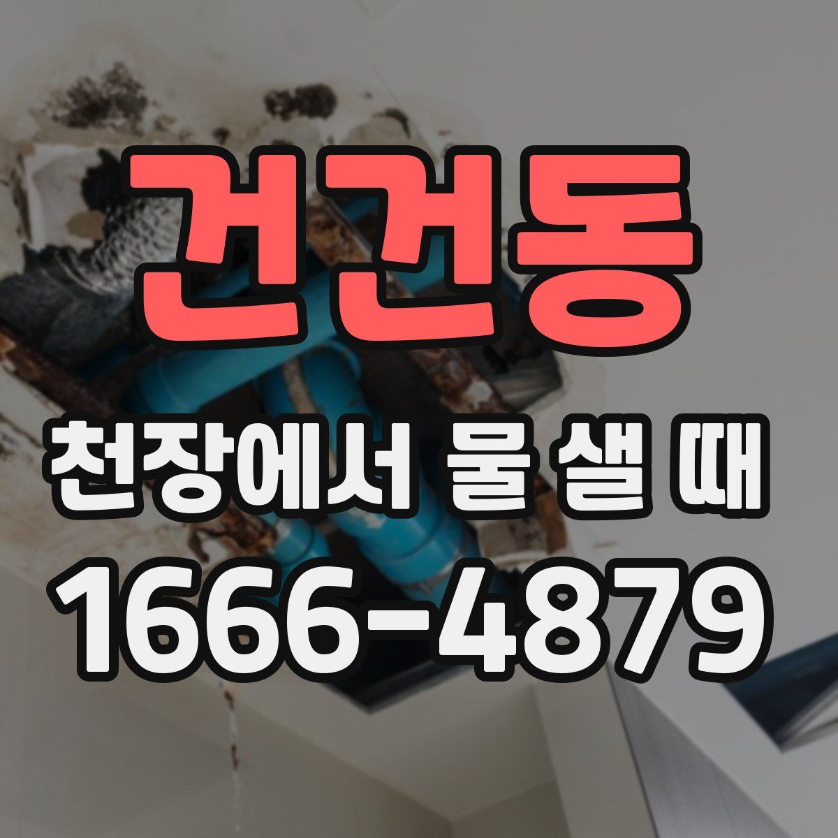 건건동 천장에서 물 샐 때