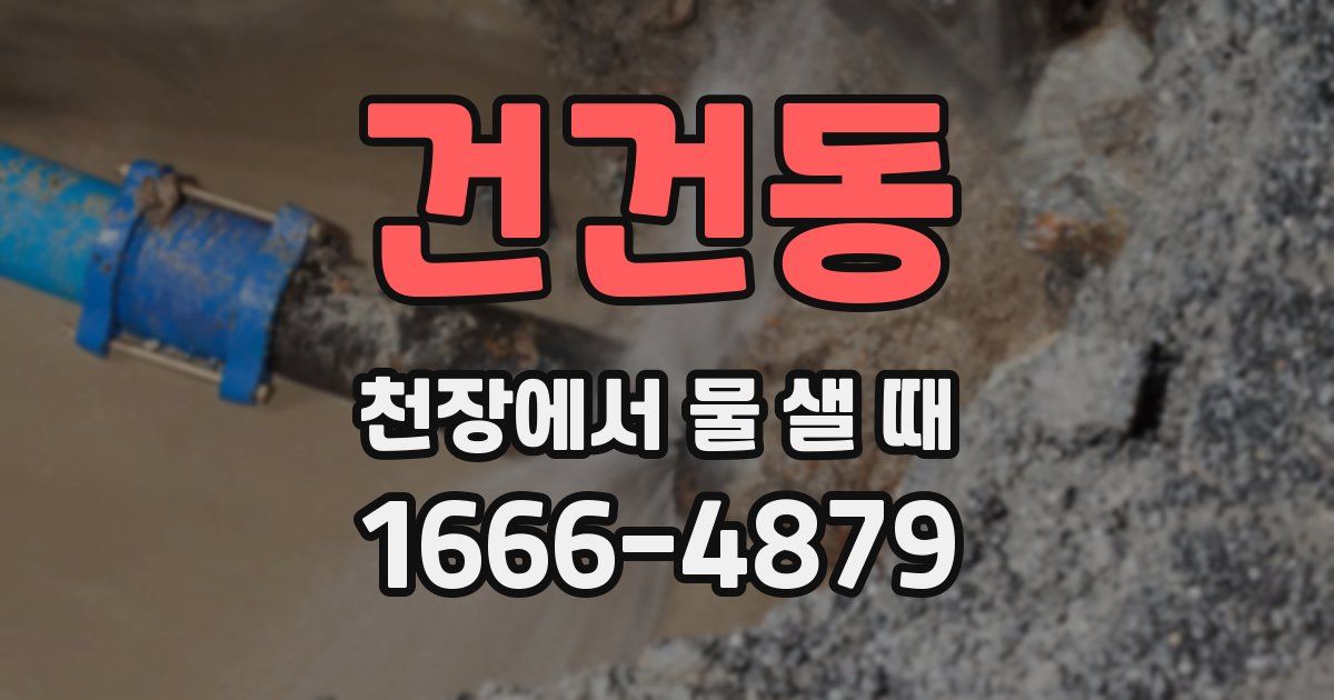 건건동 천장에서 물 샐 때