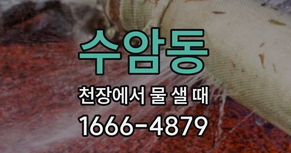 수암동 천장에서 물 샐 때