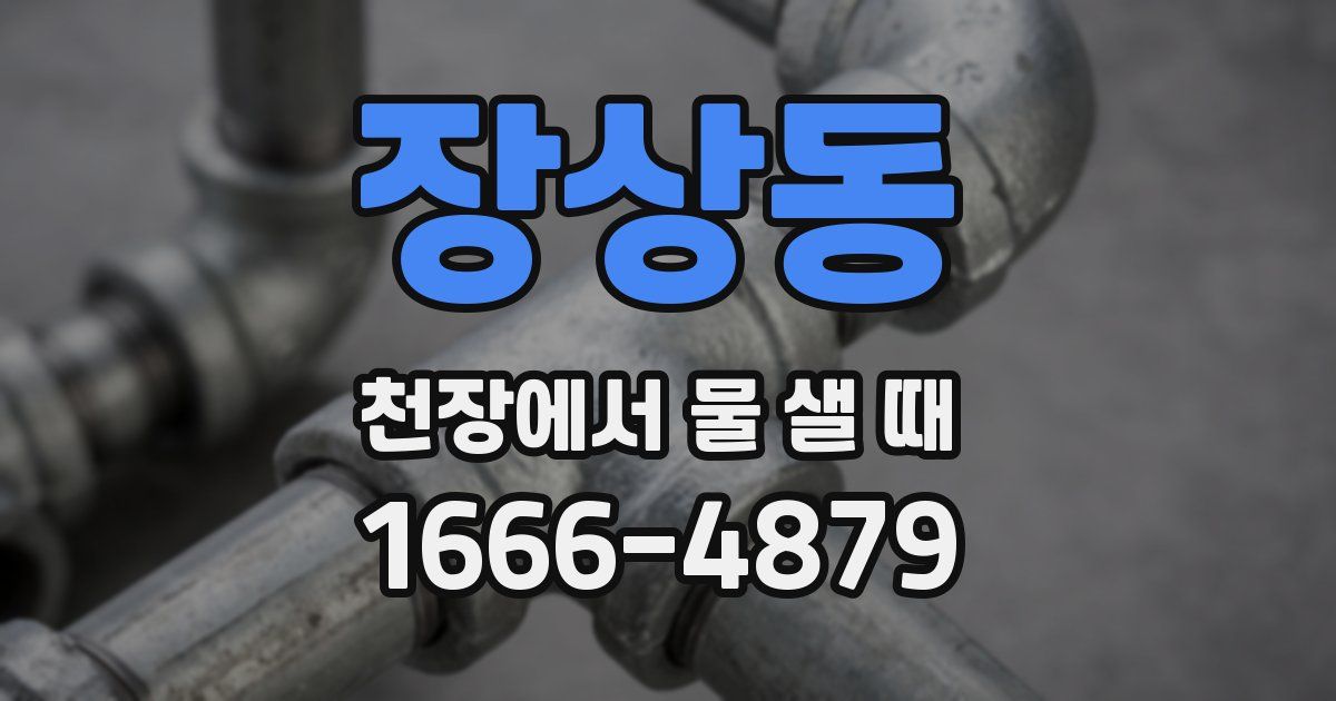 장상동 천장에서 물 샐 때